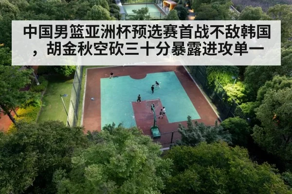 Chinese basketball player