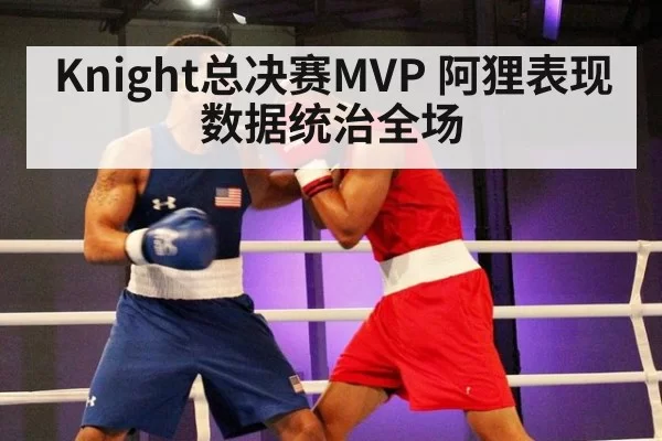 Knight总决赛MVP 阿狸表现数据统治全场